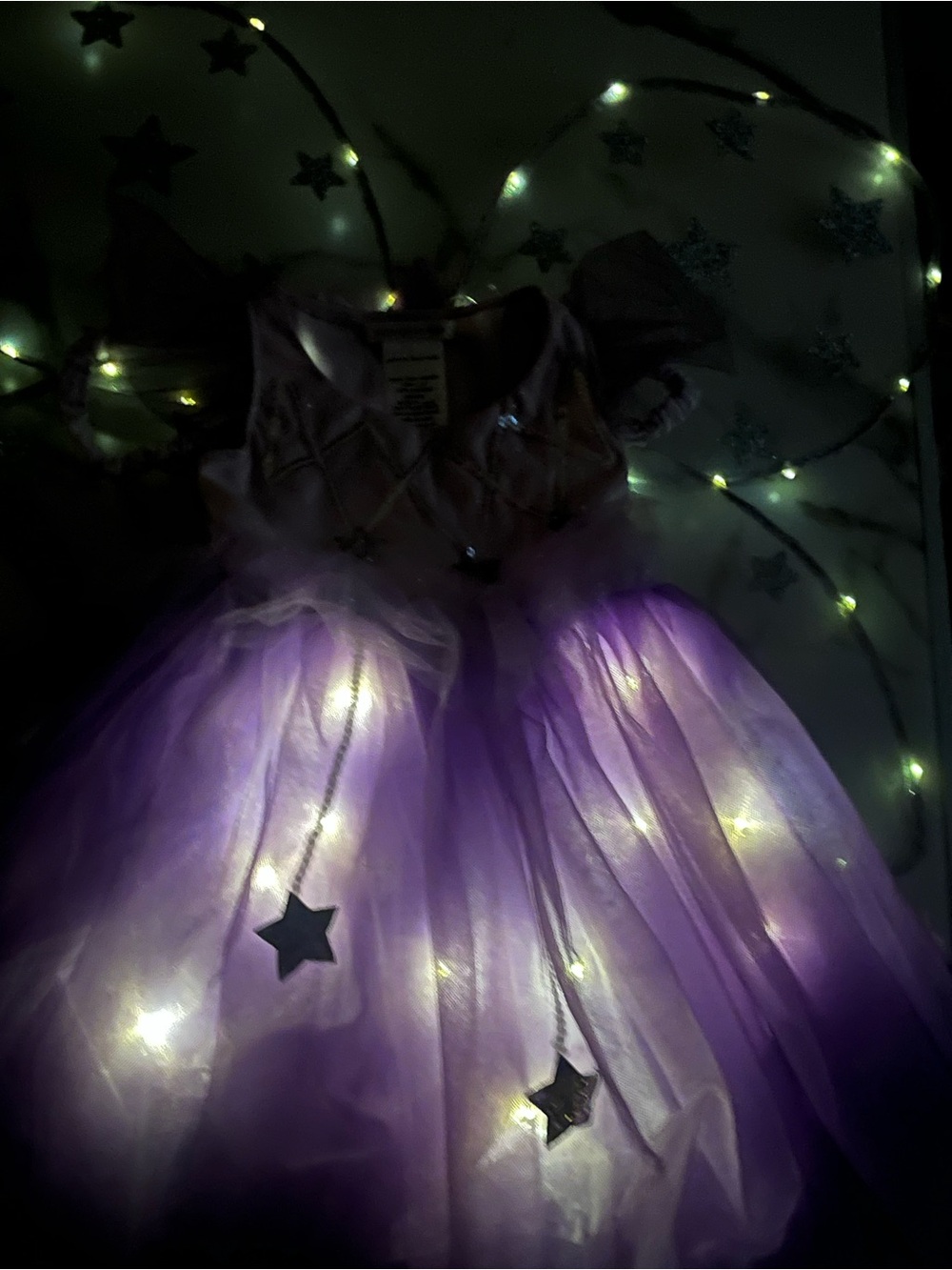 Pottery Barn Kids Purple Light-Up Tulle Princess Costume